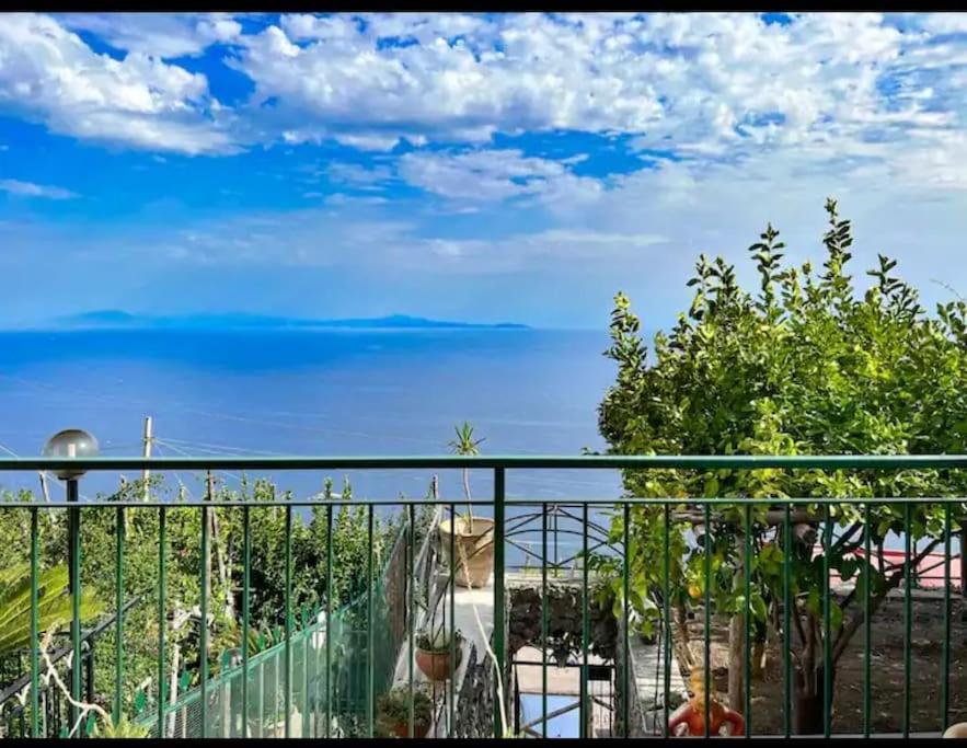 Sopra Il Mare Di House *