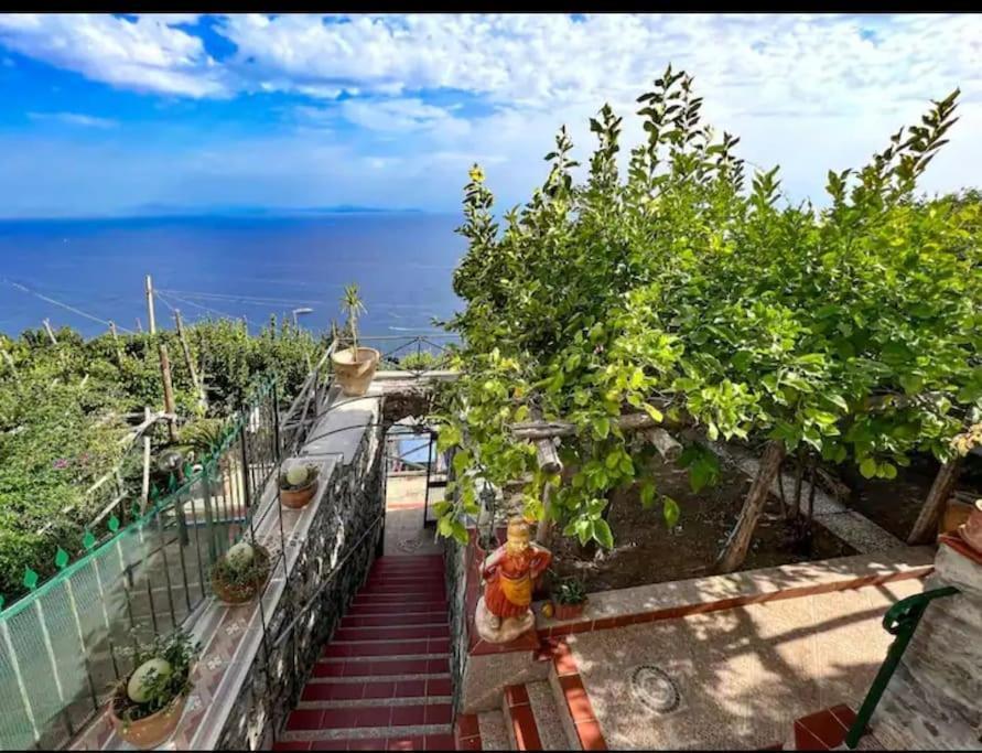 Sopra Il Mare Di House * Amalfi